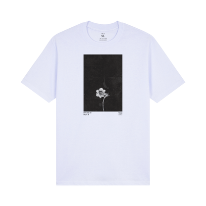 SF City Botanical Dept. II (Cloud White)